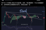 XRP价格剧烈波动：触底反弹还是昙花一现？